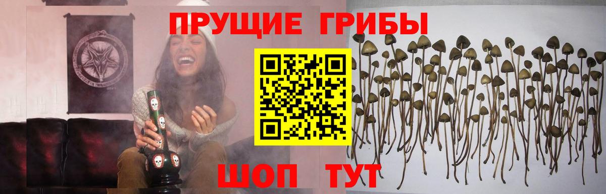 Керчь  Галлюциногенные грибы Psilocybe  Вход с VPN 